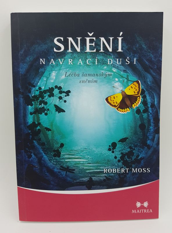 Snění navrací dušu