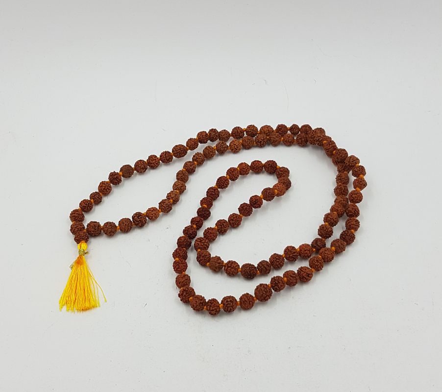 Mala Rudraksha semienka